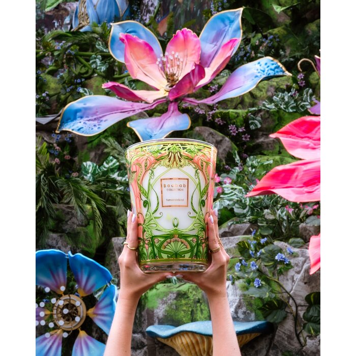 Baobab Collection Geurkaars Tomorrowland 2024 Max 10