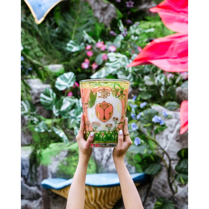 Baobab Collection Geurkaars Tomorrowland 2024 Max 10