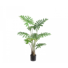 Plant Philodendron Groen 115 cm