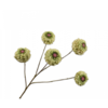 Zinnia Tak Groen 91 cm