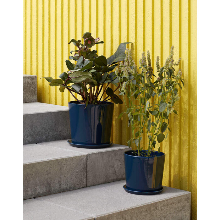 HAY Botanical Family Set Medium Off White