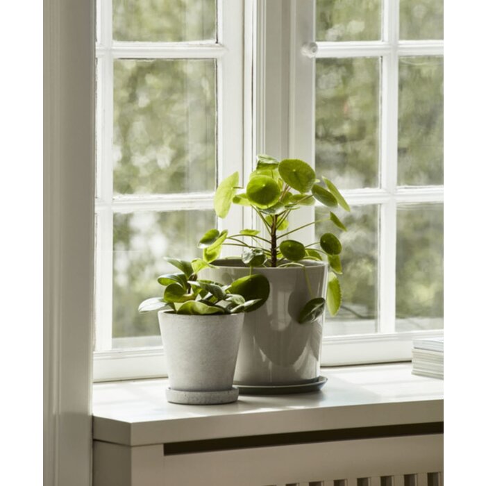 HAY Botanical Family Set Medium Off White