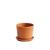Botanical Family Set Medium Caramel