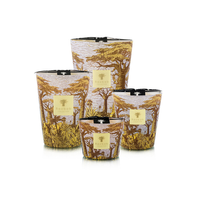 Baobab Collection Sacred Trees Cocody Geurkaars