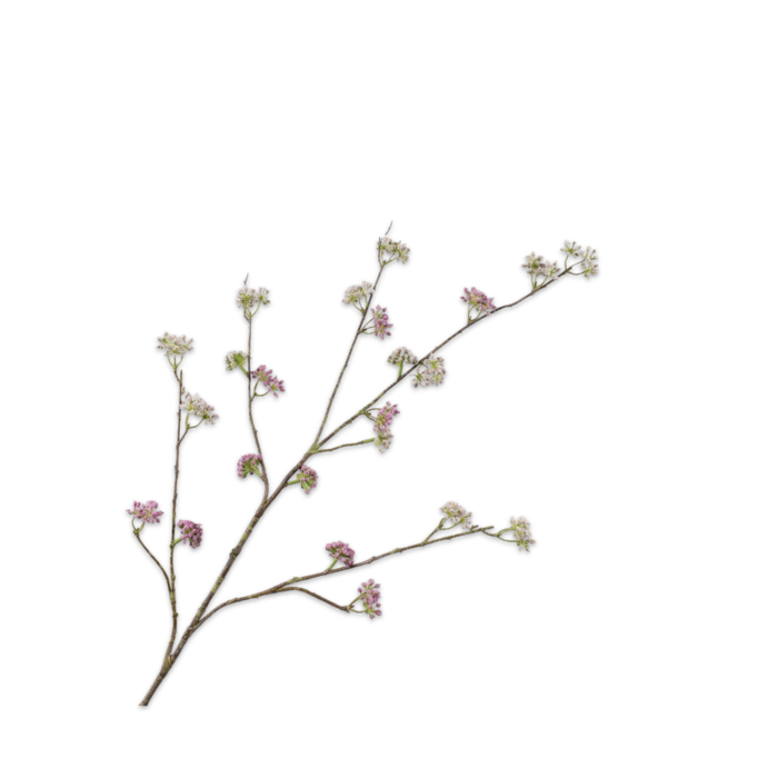 Silk-ka Dille Tak Groen/Roze 115 cm