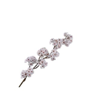 Silk-ka Bloesem Tak Creme 95 cm