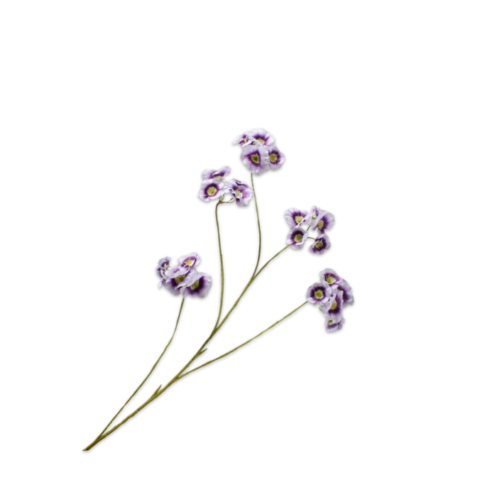 Silk-ka Leucocoryne Tak Lila 109 cm