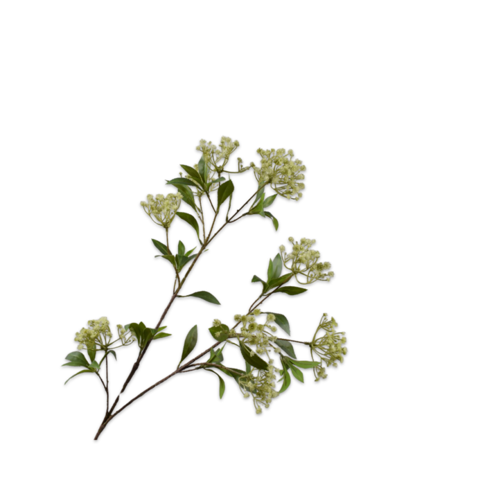 Silk-ka Bessentak Groen 109 cm