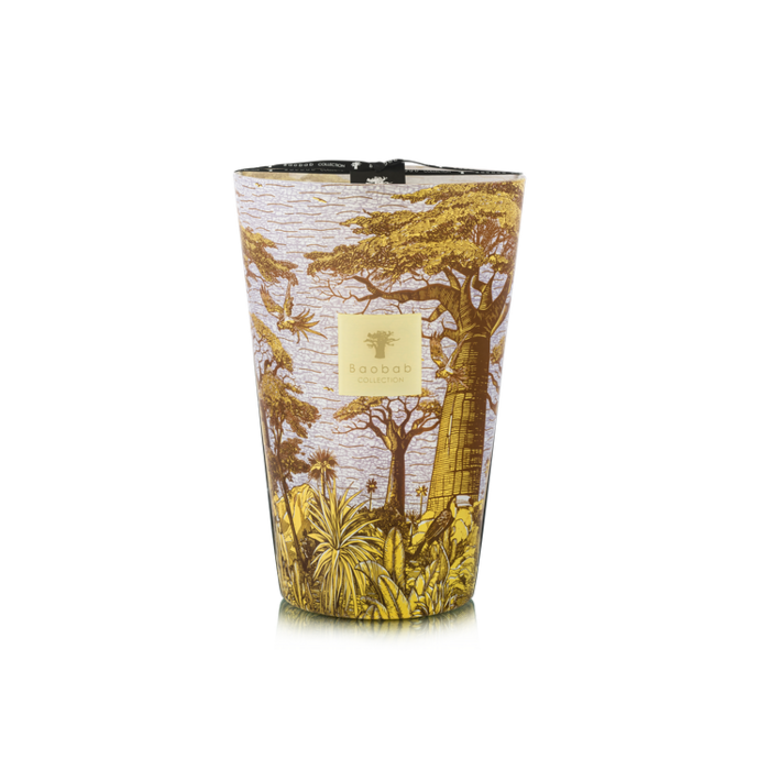 Baobab Collection Sacred Trees Cocody Geurkaars