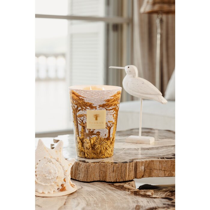 Baobab Collection Sacred Trees Cocody Geurkaars