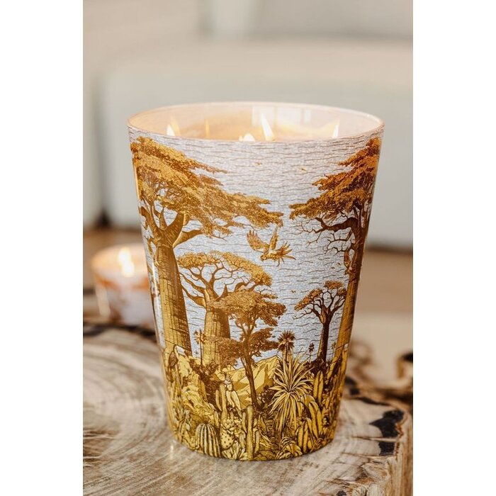 Baobab Collection Sacred Trees Cocody Geurkaars