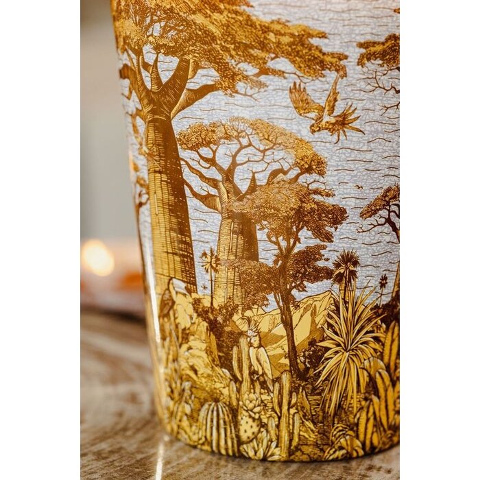 Baobab Collection Sacred Trees Cocody Geurkaars