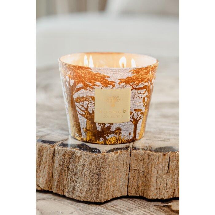 Baobab Collection Sacred Trees Cocody Geurkaars