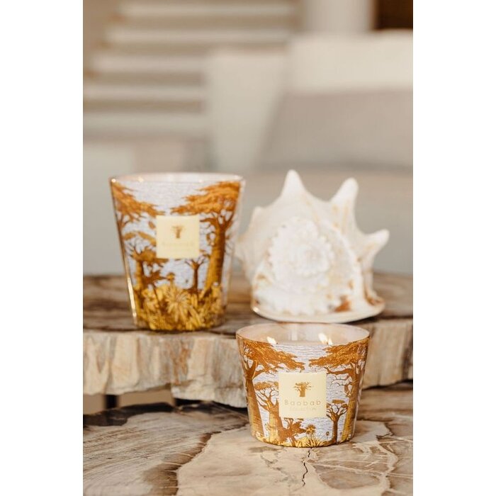 Baobab Collection Sacred Trees Cocody Geurkaars