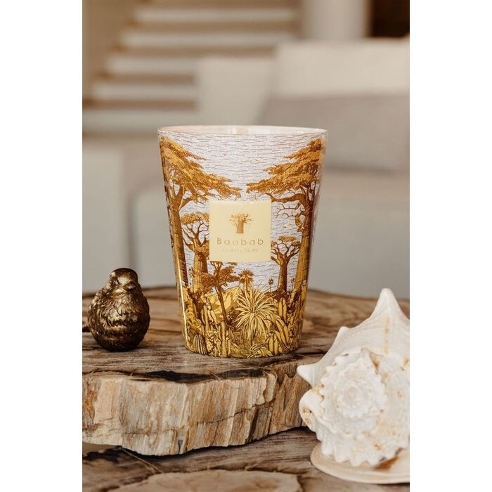 Baobab Collection Sacred Trees Cocody Geurkaars