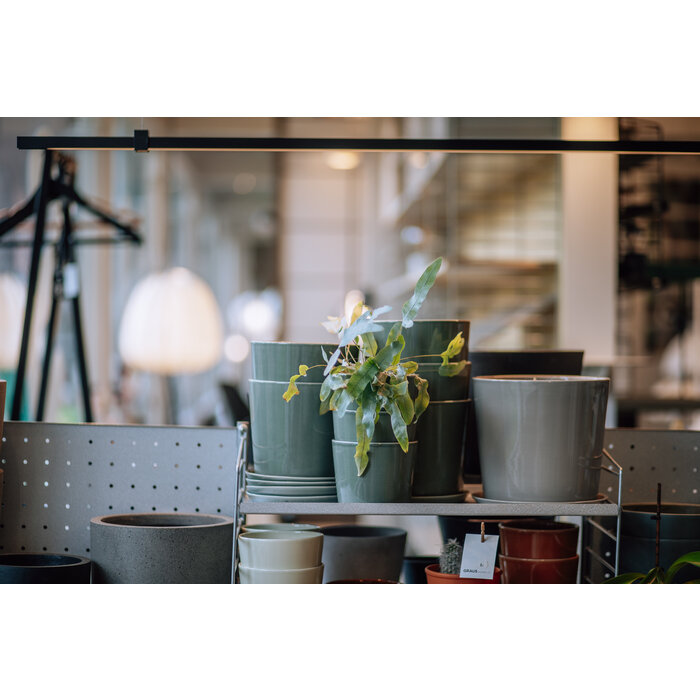 HAY Botanical Family Set Dusty Green