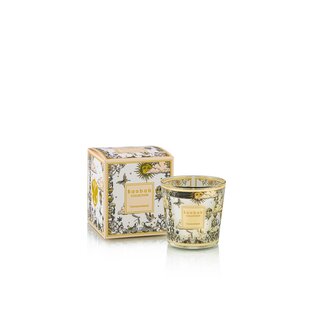 Baobab Collection Geurkaars My First Baobab Tomorrowland 2025