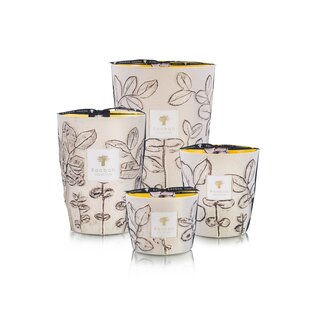Baobab Collection Geurkaars Folia Calanque