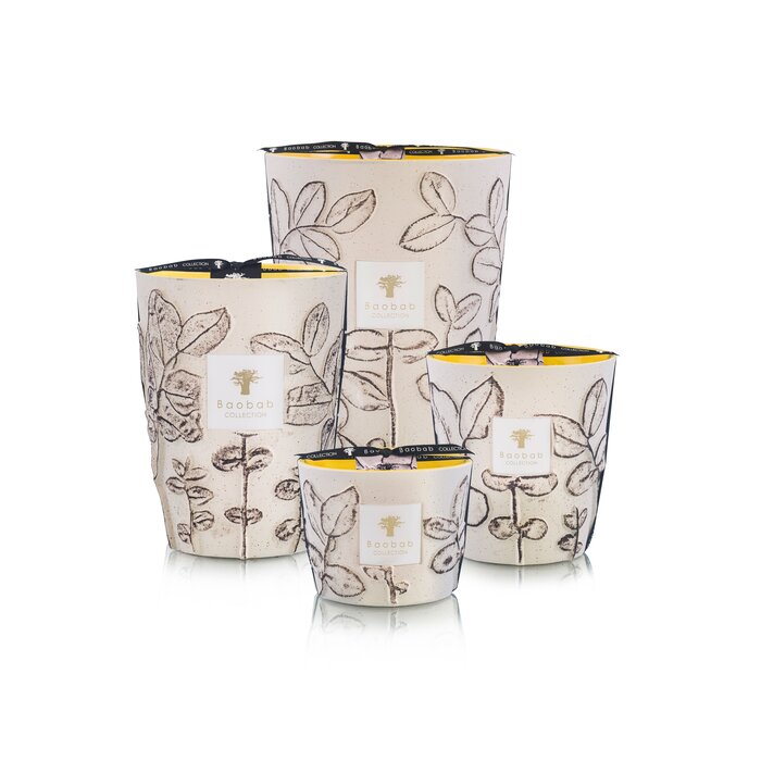 Baobab Collection Geurkaars Folia Calanque