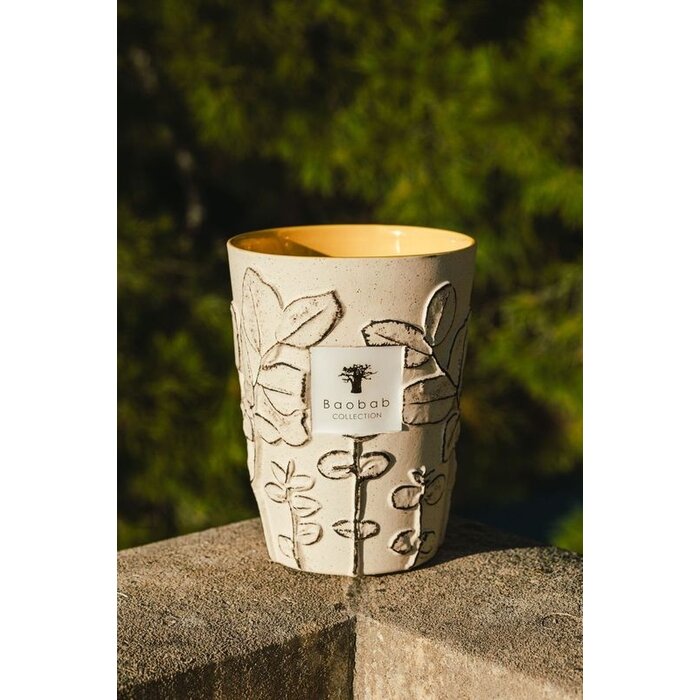Baobab Collection Geurkaars Folia Calanque