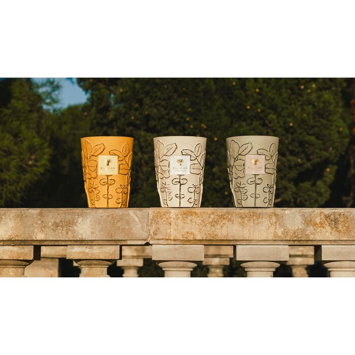 Baobab Collection Geurkaars Folia Calanque