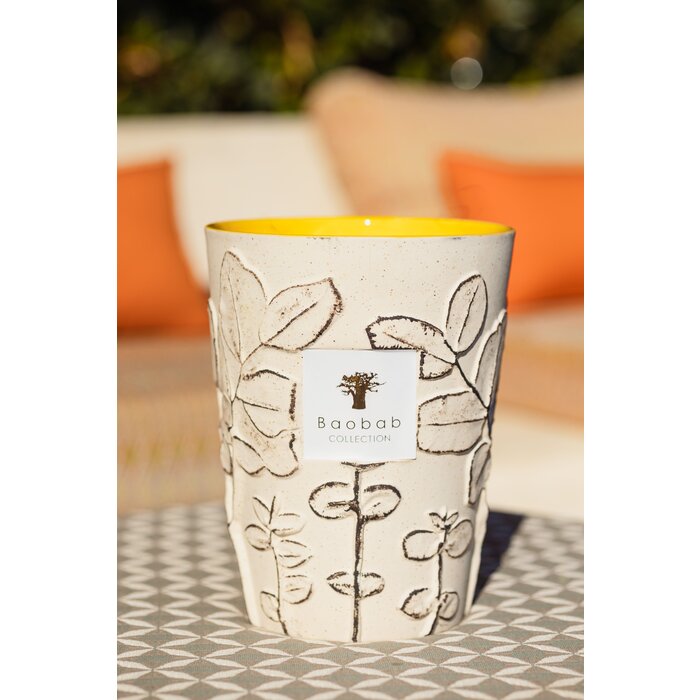 Baobab Collection Geurkaars Folia Calanque