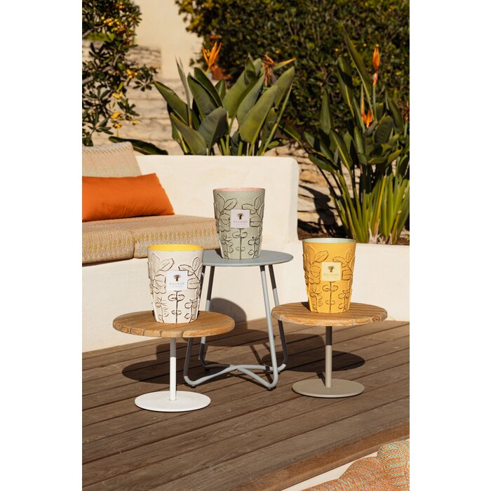 Baobab Collection Geurkaars Folia Maquis