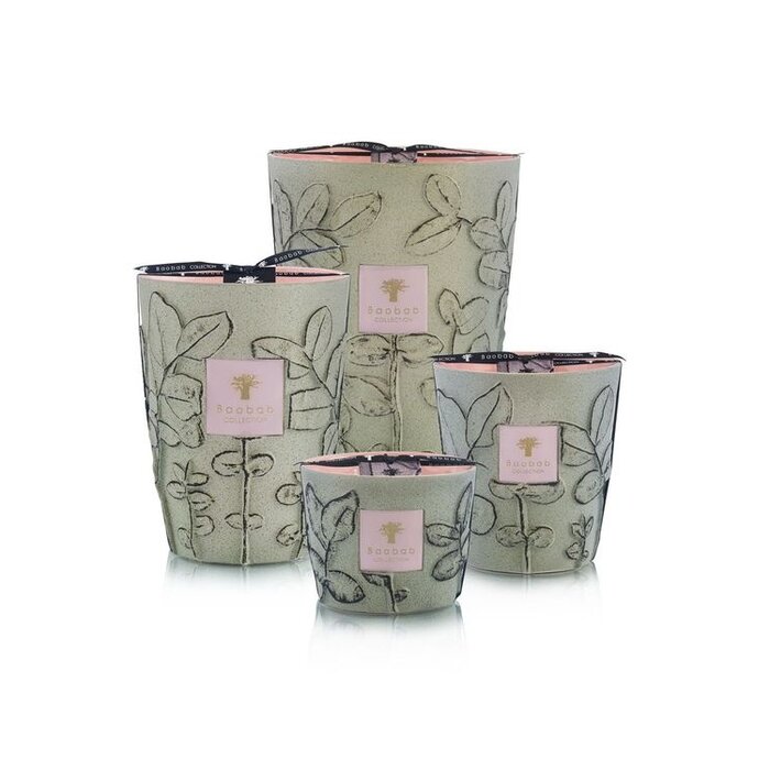 Baobab Collection Geurkaars Folia Maquis