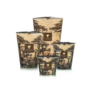 Baobab Collection Geurkaars Sacred Trees Mankono