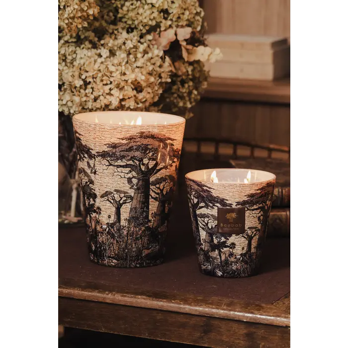 Baobab Collection Geurkaars Sacred Trees Mankono