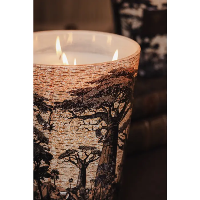 Baobab Collection Geurkaars Sacred Trees Mankono