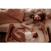 BEDNEST bednest (including standard mattress)