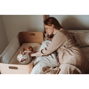 bednest co-sleeper (including standard mattress)