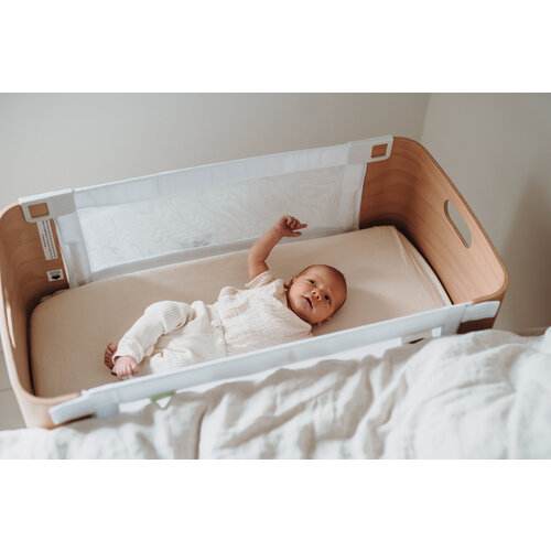BEDNEST bednest (including standard mattress)