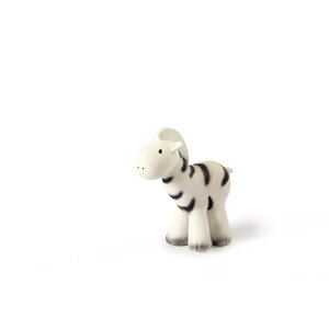 my first zoo animal - zebra
