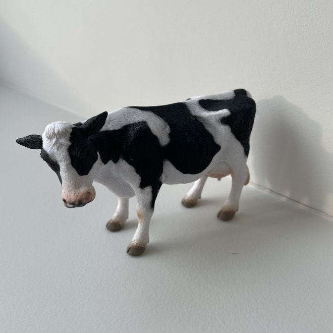 farm animal - cow