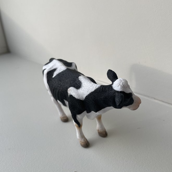 farm animal - cow