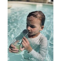 HAPS NORDIC 4 pack reusable straws