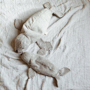 cuddly seal - small