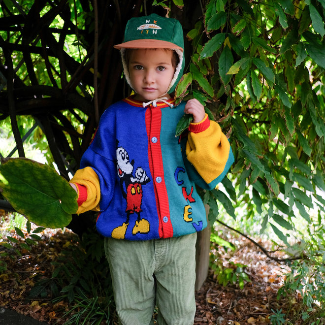 winter cap with plush lining - robin snake green