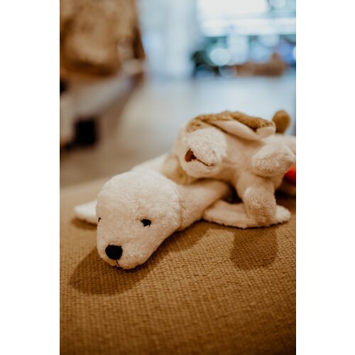 SENGER NATURWELT music box- dog
