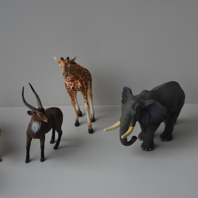 gift set - wild animals