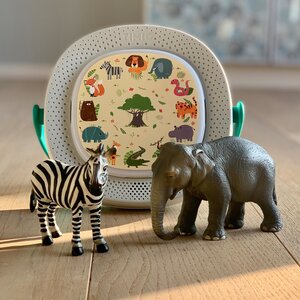 timio disc pack - set 1