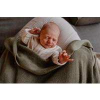 HVID blanket gust - artichoke