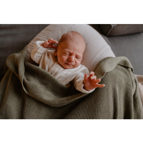 HVID blanket gust - artichoke