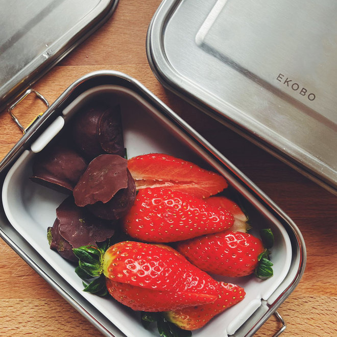 stainless steel lunch box with heat safe insert - terracotta