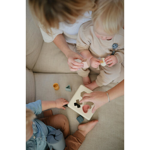 MUSHIE shape sorting box