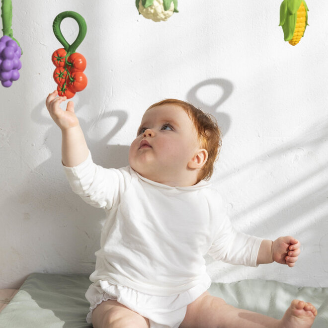 tomato rattle toy