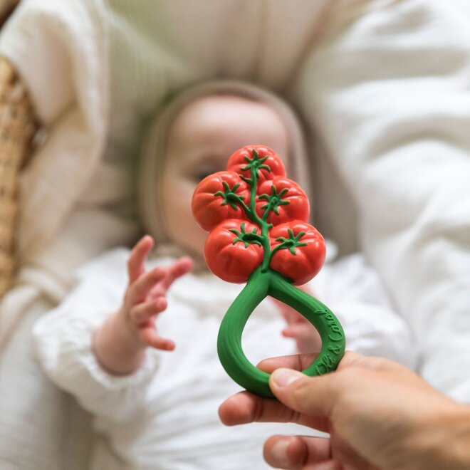 tomato rattle toy