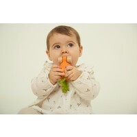 OLI & CAROL cathy the carrot baby car